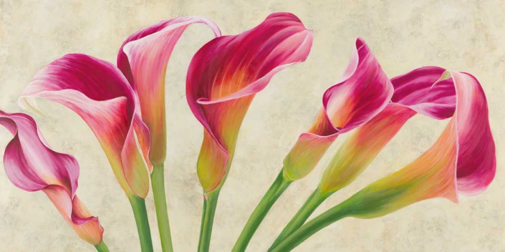Calla parade art print by Luca Villa for $57.95 CAD