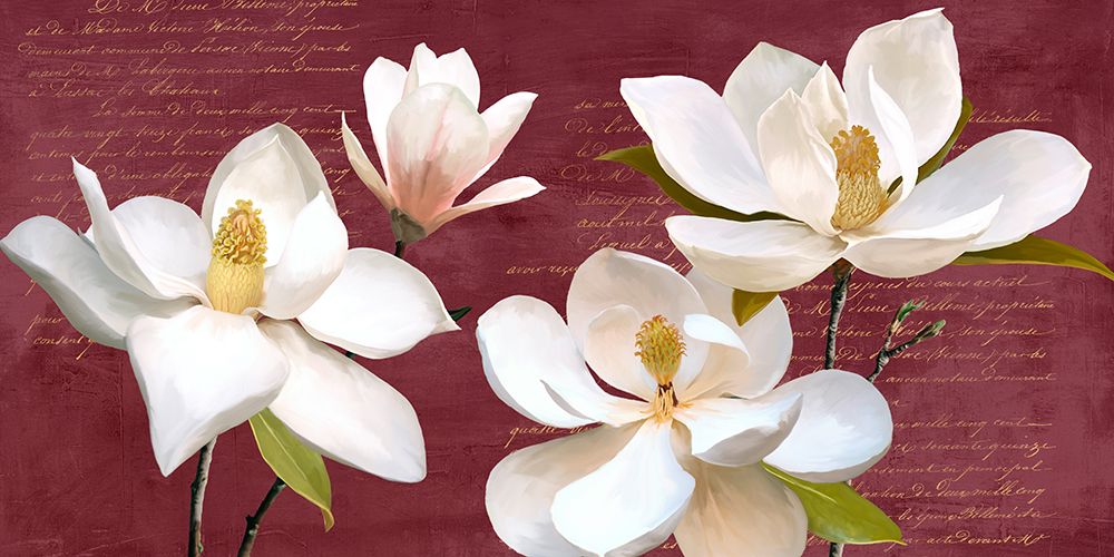 Burgundy Magnolia art print by Luca Villa for $57.95 CAD