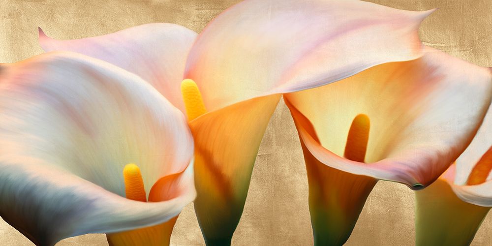 Jewel Callas (detail) art print by Luca Villa for $57.95 CAD