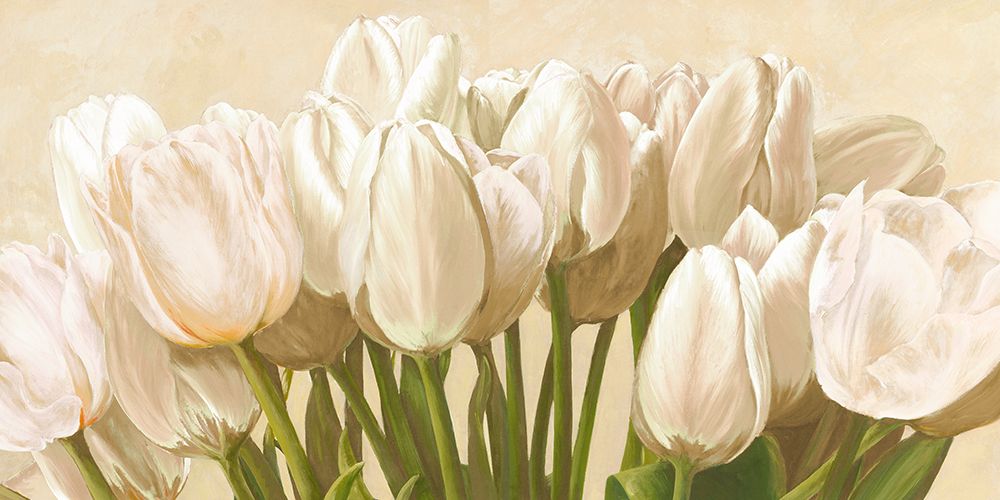 Off White Tulips art print by Luca Villa for $57.95 CAD