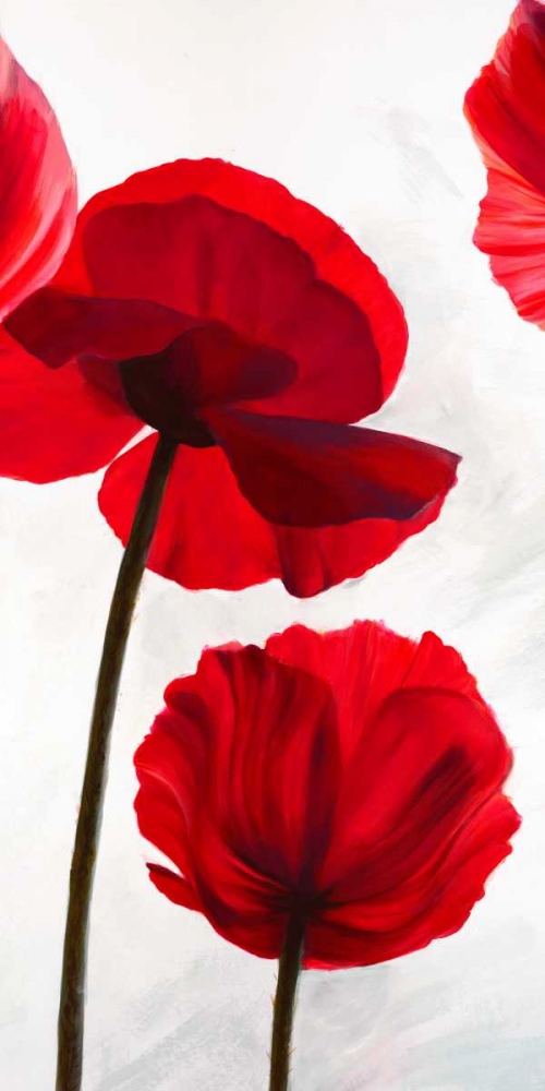 Reds II art print by Luca Villa for $57.95 CAD