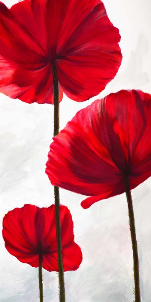 Reds III art print by Luca Villa for $57.95 CAD