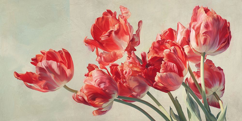 Crimson Parrot Tulips art print by Luca Villa for $57.95 CAD