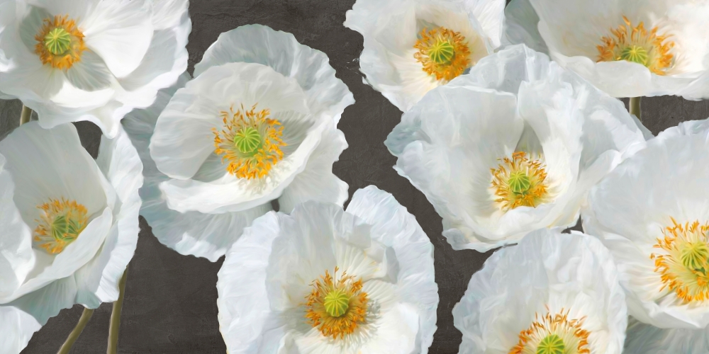 Poppy Arrangement (Chalkboard) art print by Leonardo Sanna for $57.95 CAD