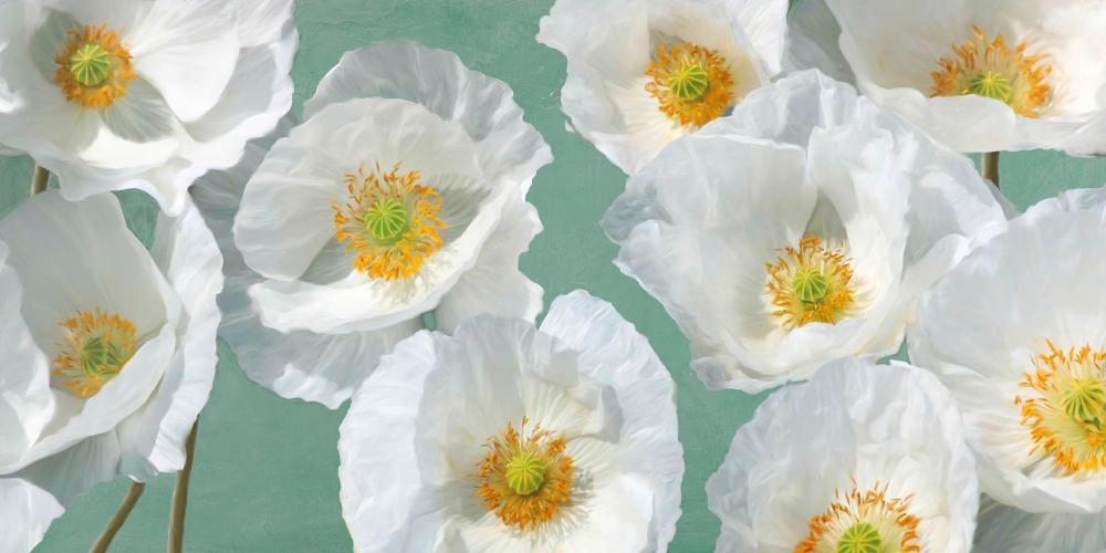 Poppy Arrangement (Mint) art print by Leonardo Sanna for $57.95 CAD