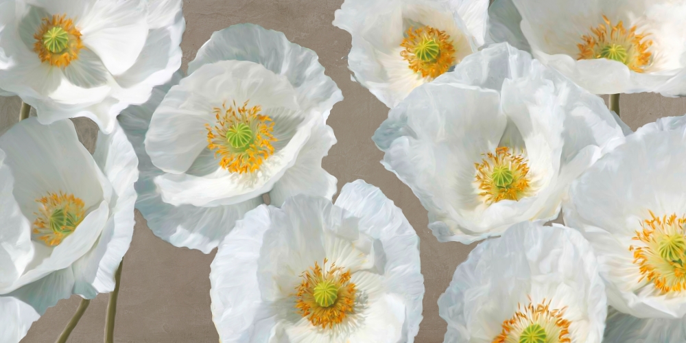 Poppy Arrangement (Taupe) art print by Leonardo Sanna for $57.95 CAD