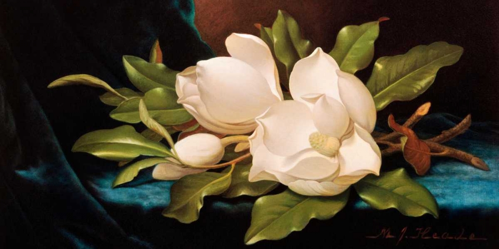 Giant Magnolias on Blue Cloth art print by Martin Johnson Heade for $57.95 CAD
