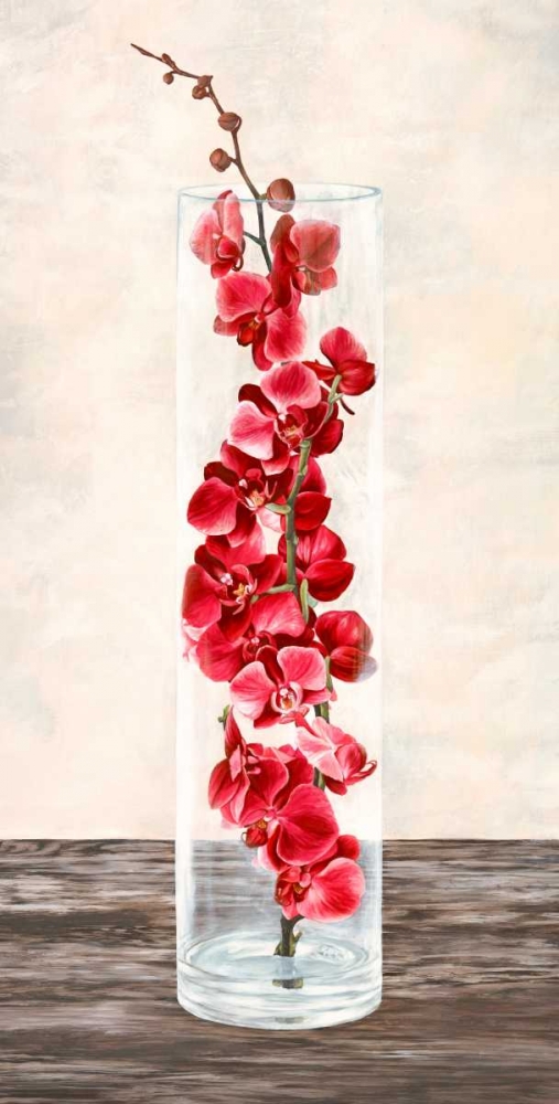 Arrangement of orchids art print by Shin Mills for $57.95 CAD