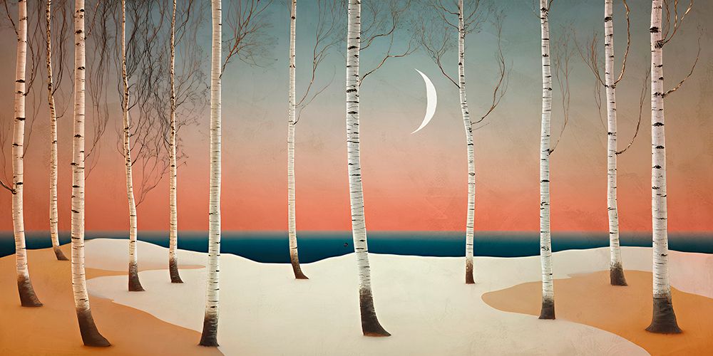 Moonlight on the Birch Forest art print by Sayaka Miko for $57.95 CAD