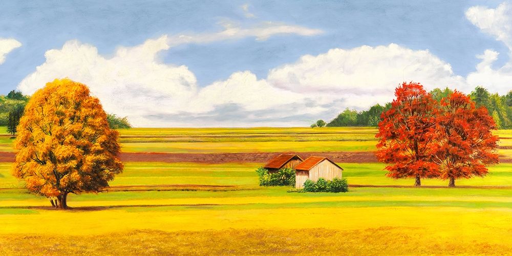 Pianure serene (detail) art print by Angelo Masera for $57.95 CAD