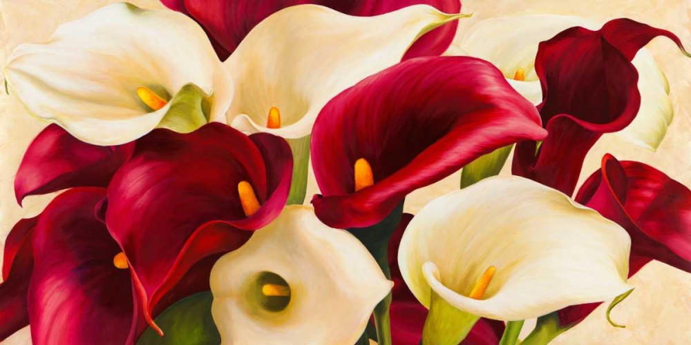 Calla composition art print by Serena Biffi for $57.95 CAD