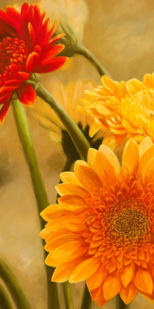 Gerbere nel sole I art print by Serena Biffi for $57.95 CAD