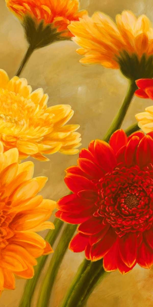 Gerbere nel sole II art print by Serena Biffi for $57.95 CAD