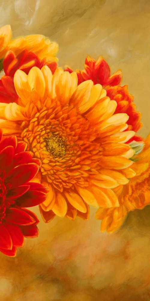 Gerbere nel sole III art print by Serena Biffi for $57.95 CAD