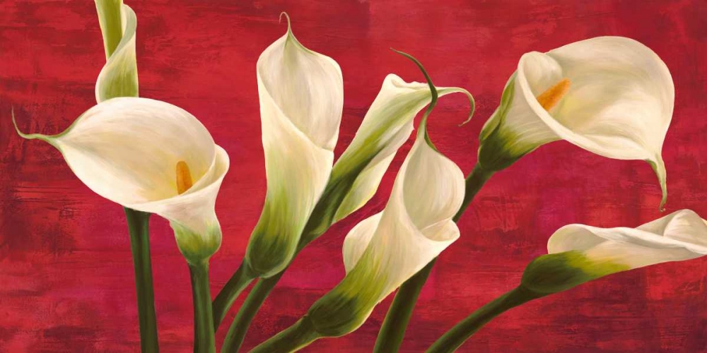 Calle in rosso art print by Serena Biffi for $57.95 CAD