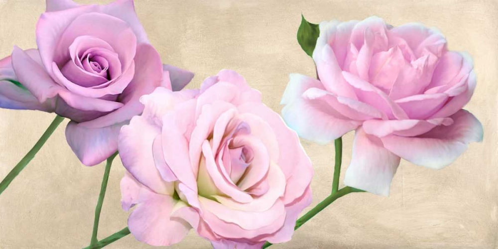 Rose classiche art print by Serena Biffi for $57.95 CAD