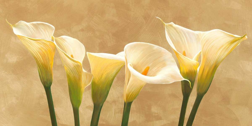 Calle bianche art print by Serena Biffi for $57.95 CAD