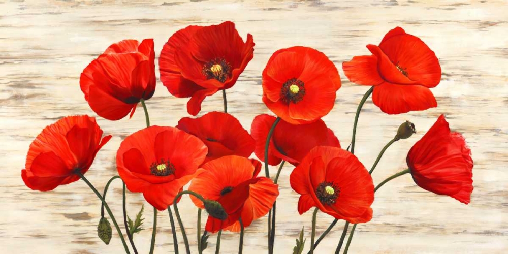 French Poppies art print by Serena Biffi for $57.95 CAD