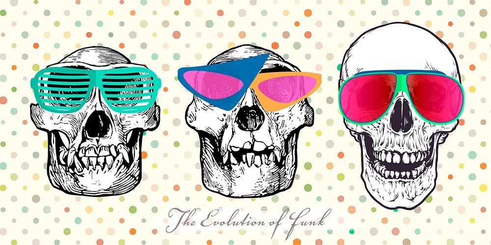 The evolution of funk art print by Hill Steven for $57.95 CAD