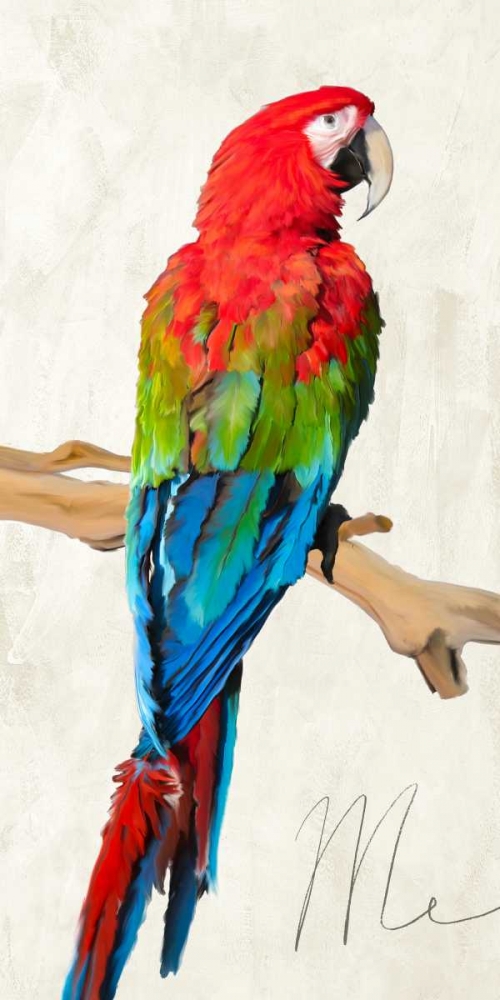 Me art print by Teo Rizzardi for $57.95 CAD