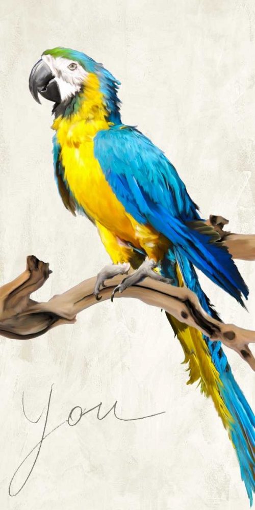 You art print by Teo Rizzardi for $57.95 CAD