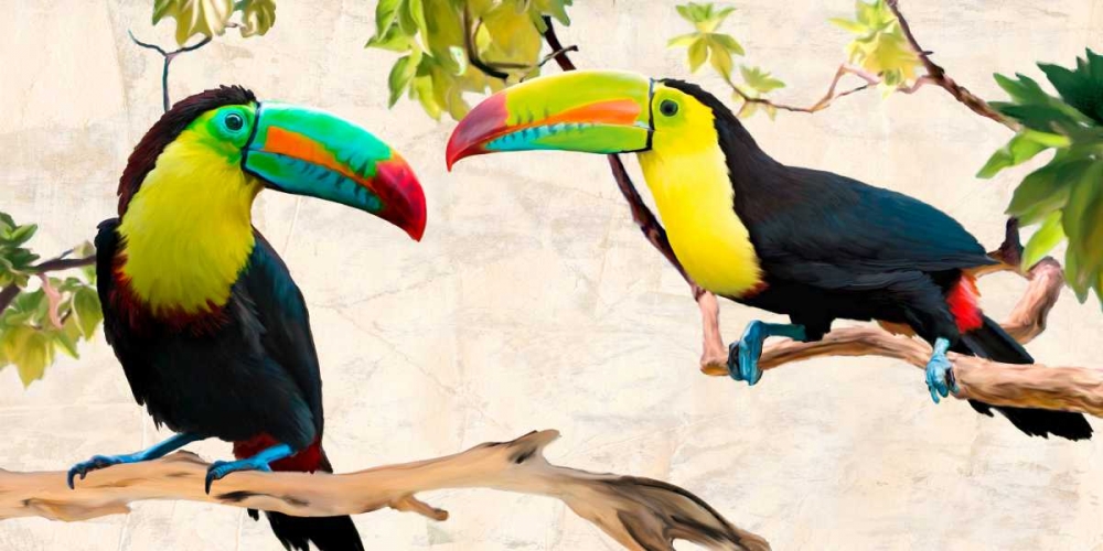 Two of Us art print by Teo Rizzardi for $57.95 CAD