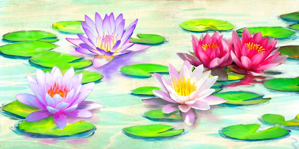 Nympheas art print by Teo Rizzardi for $57.95 CAD