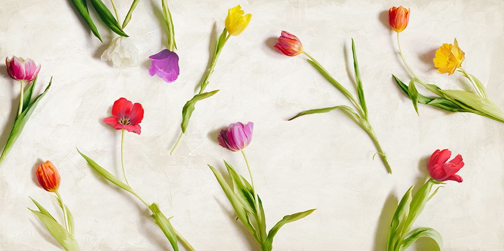 Cut Tulips art print by Teo Rizzardi for $57.95 CAD