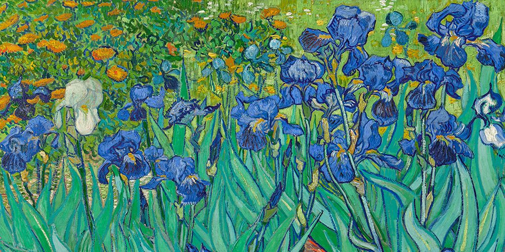 Irises (detail) art print by Vincent van Gogh for $57.95 CAD