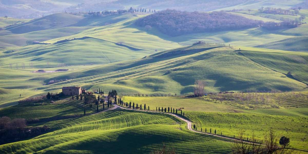A road in Tuscany art print by Vadim Ratsenskiy for $57.95 CAD