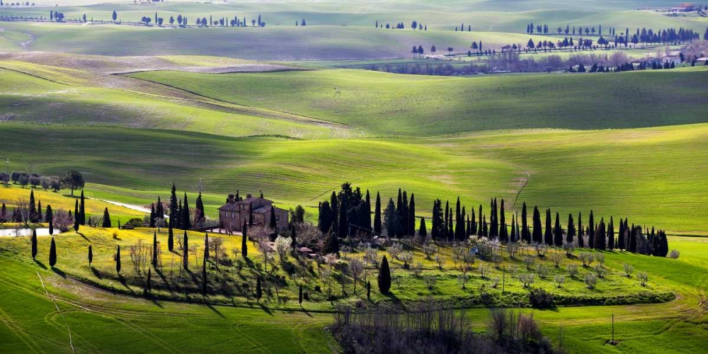 Country houses in Tuscany art print by Vadim Ratsenskiy for $57.95 CAD