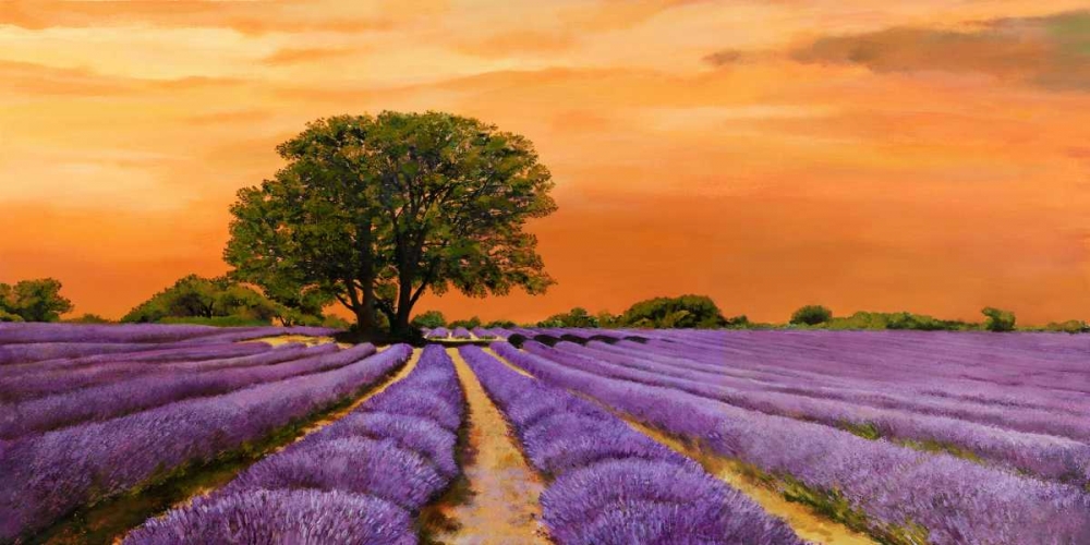 Campo al tramonto art print by Valerio Sella for $57.95 CAD