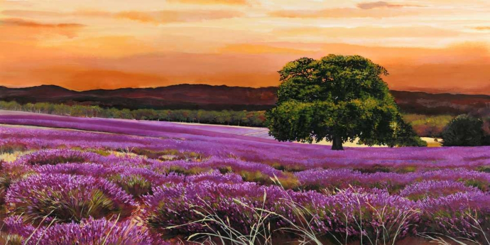 Campo di lavanda art print by Valerio Sella for $57.95 CAD