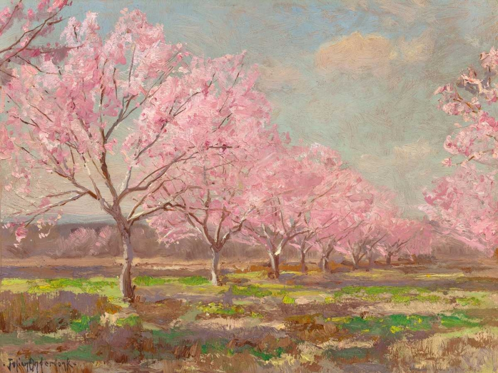 Peach orchard on Mavericks farm art print by Julian Onderdonk for $57.95 CAD