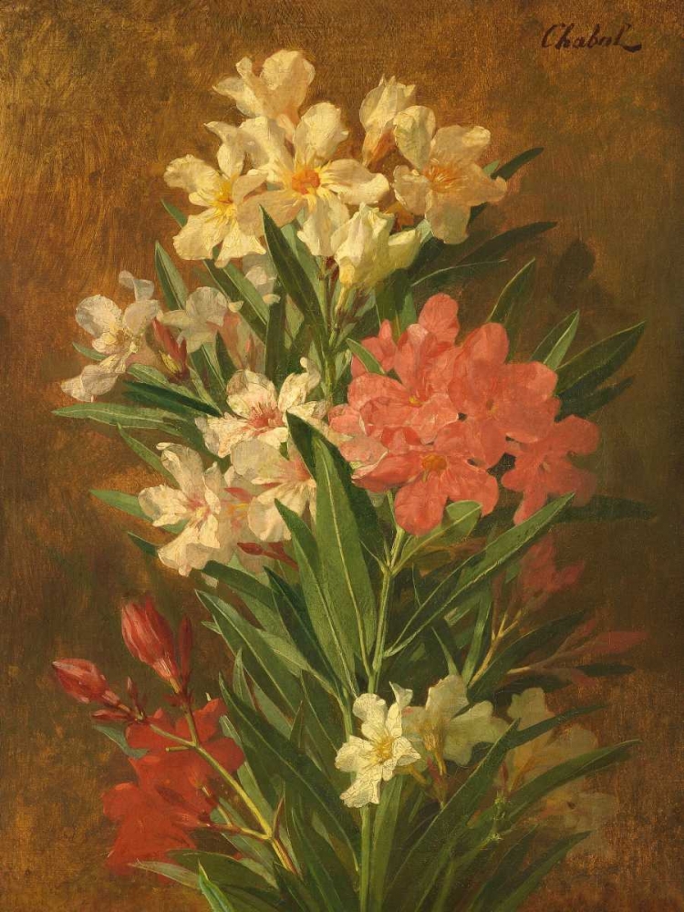 Rot und weiss bluhender Oleander art print by Pierre Adrien Chabal-Dussergey for $57.95 CAD