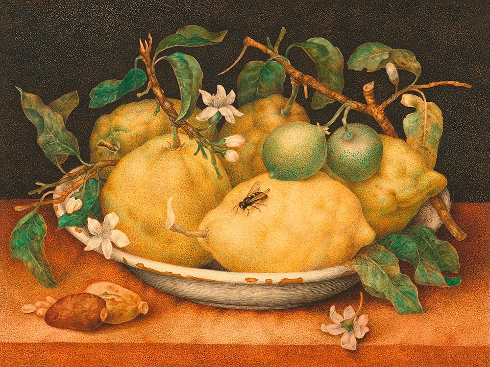 Natura morta con cedri art print by Giovanna Garzoni for $57.95 CAD