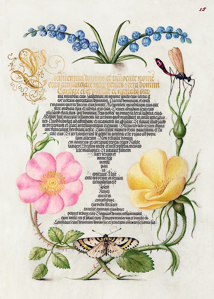 From the Model Book of Calligraphy-II art print by Bocskay Hoefnagel for $57.95 CAD