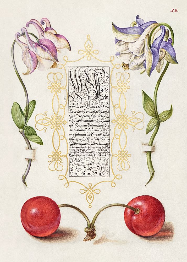 From the Model Book of Calligraphy-III art print by Bocskay Hoefnagel for $57.95 CAD