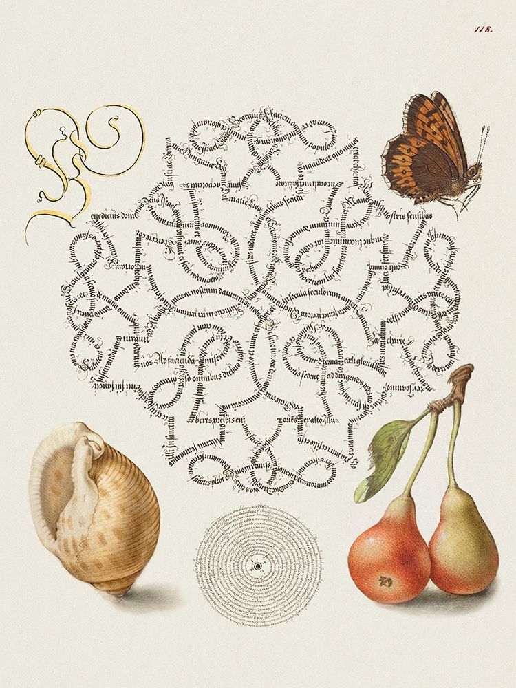 From the Model Book of Calligraphy-IV art print by Bocskay Hoefnagel for $57.95 CAD