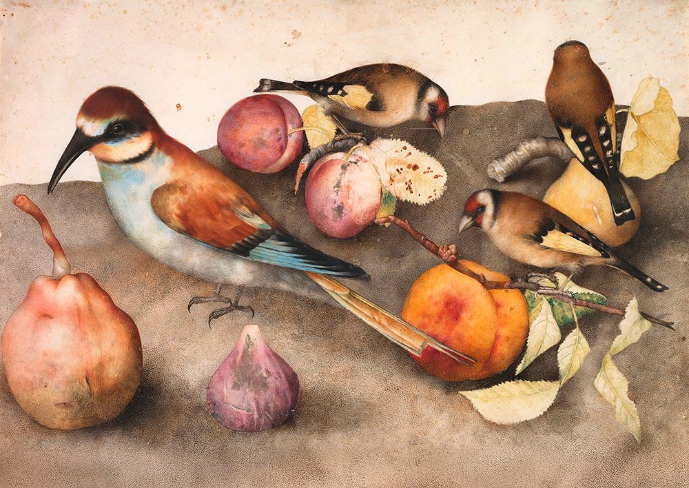 Still Life with Birds and Fruit, c. 1650 art print by Giovanna Garzoni for $57.95 CAD