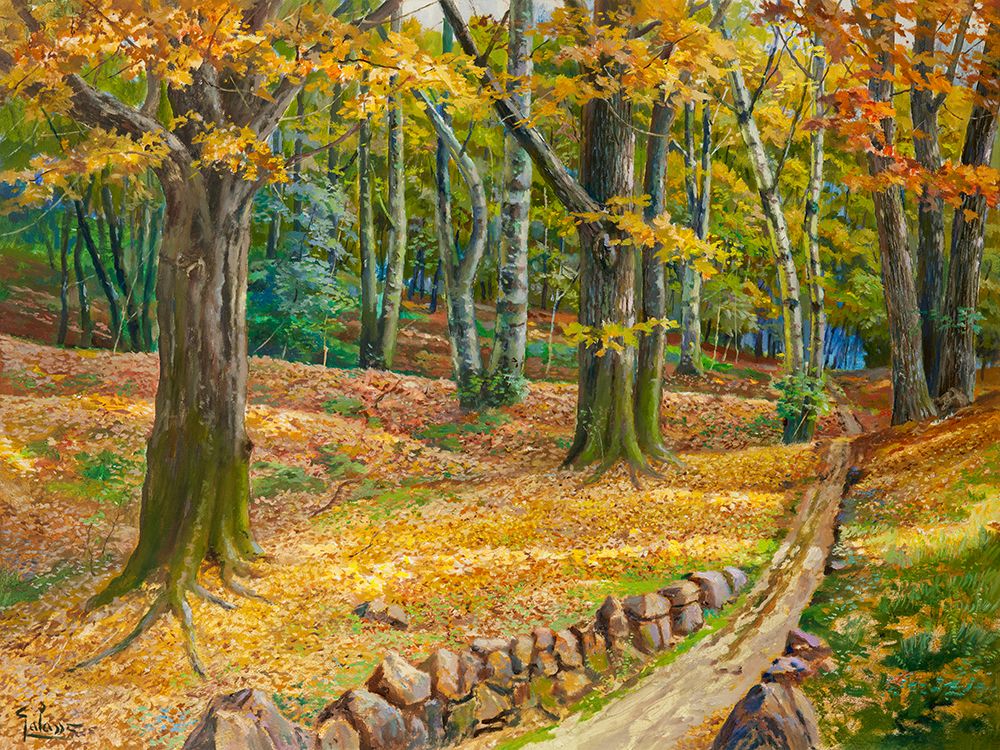 Sentiero nel bosco art print by Adriano Galasso for $57.95 CAD