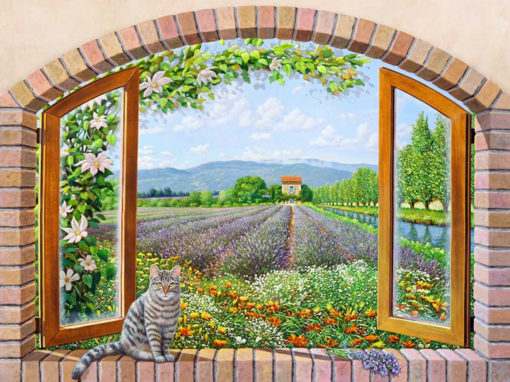 Finestra in provenza art print by Andrea Del Missier for $57.95 CAD