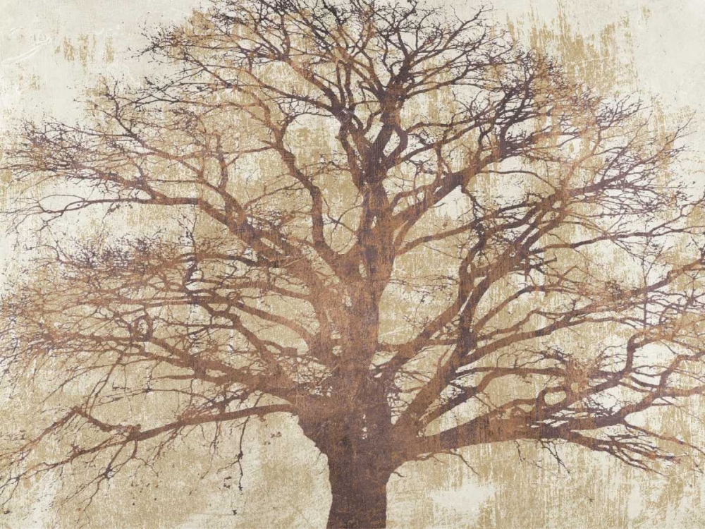 Sacred Oak art print by Alessio Aprile for $57.95 CAD
