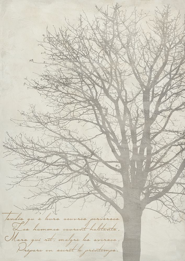 Gautiers Tree II art print by Alessio Aprile for $57.95 CAD
