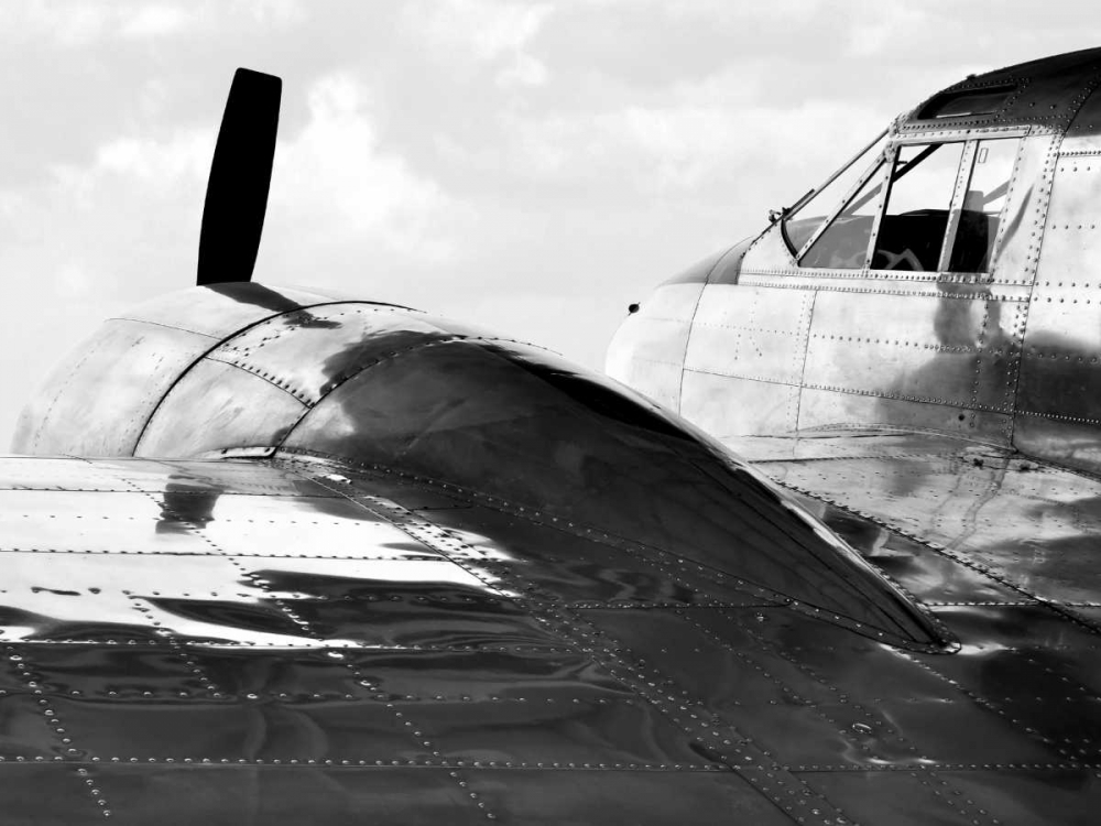 Vintage Aircraft (detail) art print by Monica Borboor for $57.95 CAD
