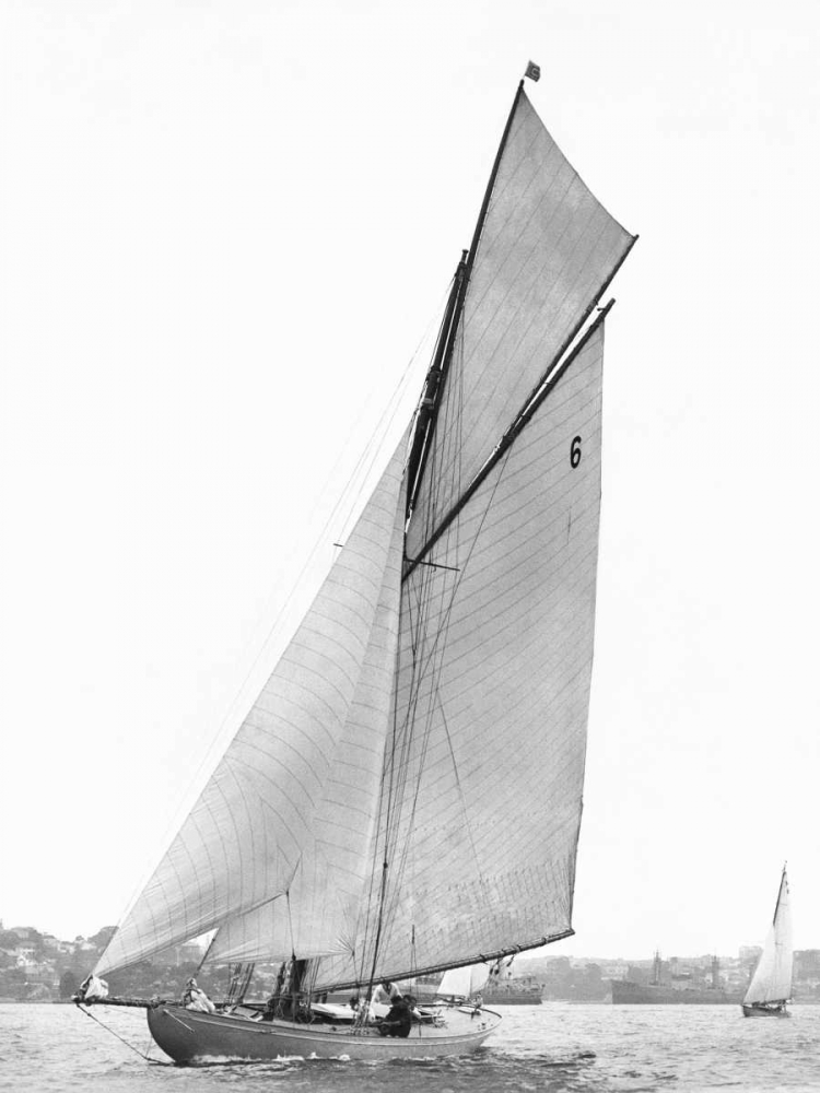 Sailing in Sydney Harbour art print by Anonymous for $57.95 CAD