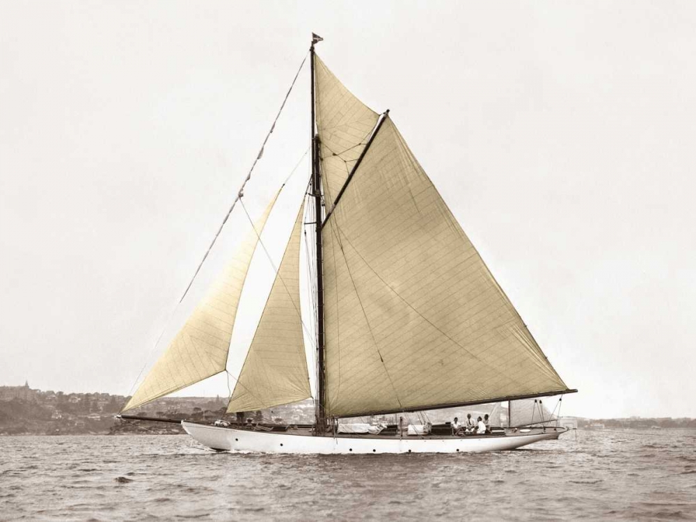 Yacht on Sydney Harbour art print by Anonymous for $57.95 CAD