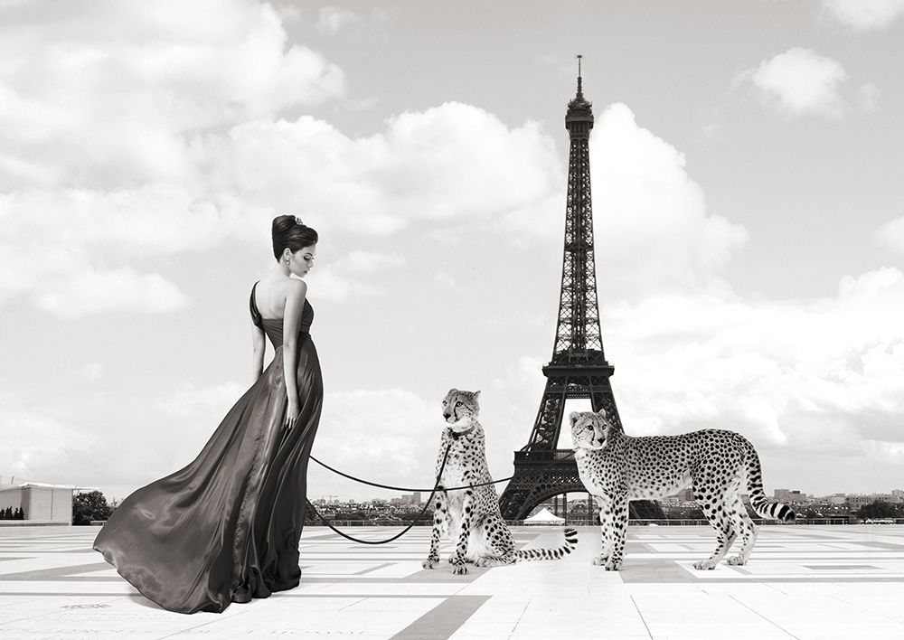 Trocadero View (detail) art print by Julian Lauren for $57.95 CAD