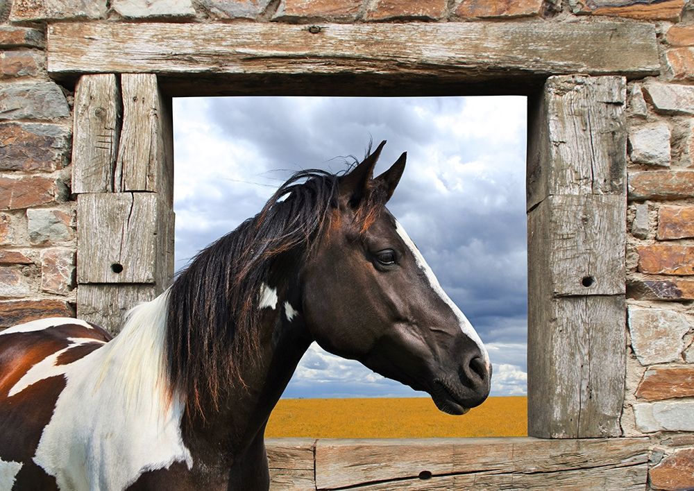 Painted Horse art print by Julian Lauren for $57.95 CAD