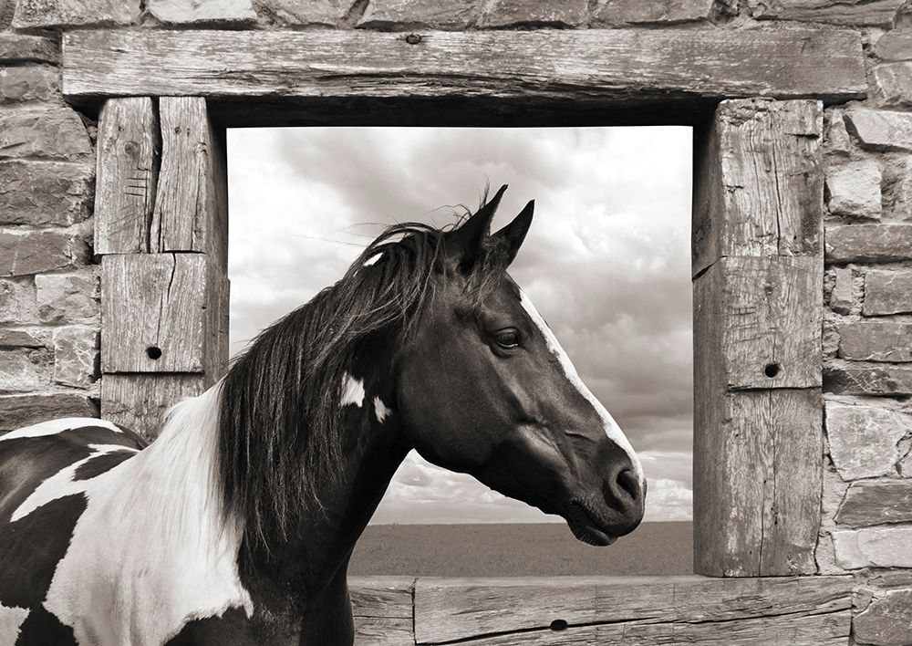 Painted Horse (BW) art print by Julian Lauren for $57.95 CAD